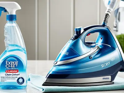 Clean an Iron - photo from the RecipePi guide