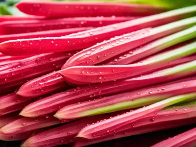 Cook Rhubarb - photo from the RecipePi guide