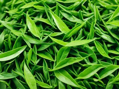 Make Green Tea - photo from the RecipePi guide