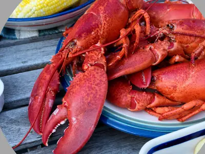 Steam Lobster at Home - photo from the RecipePi guide