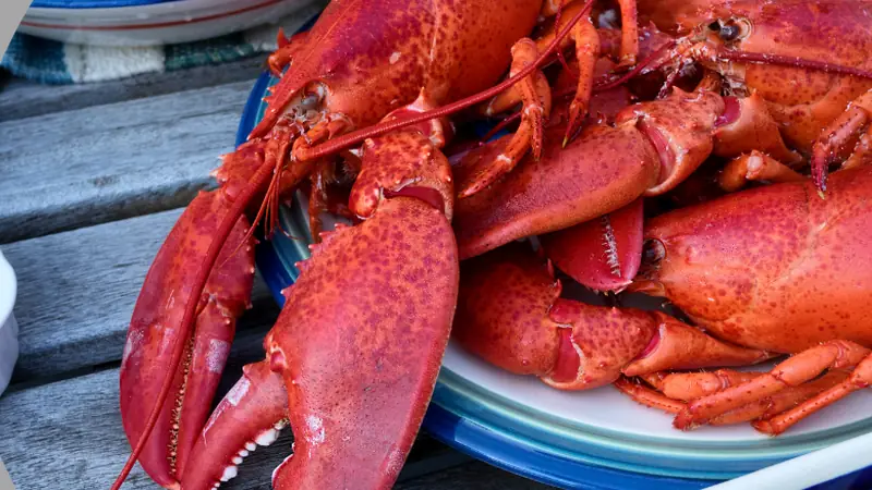 Steam Lobster at Home - photo from the RecipePi guide