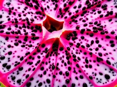Tell If Dragon Fruit Is Ripe - photo from the RecipePi guide