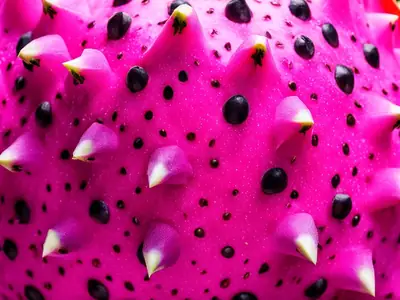 Tell If Dragon Fruit Is Ripe - photo from the RecipePi guide