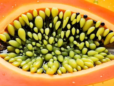 Tell If Papaya Is Ripe - photo from the RecipePi guide